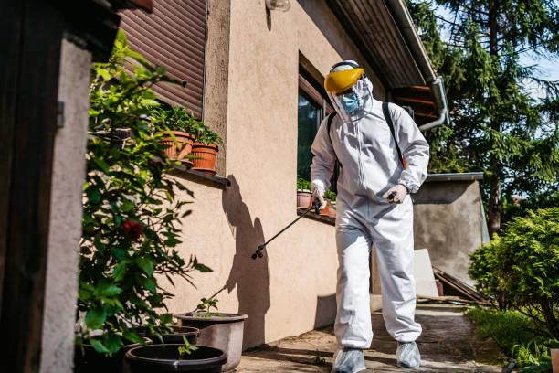 Best Best Pest Control Companies  in Little Cypress, TX