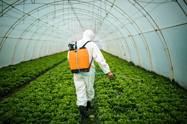 Best Pest Control Cost  in Little Cypress, TX