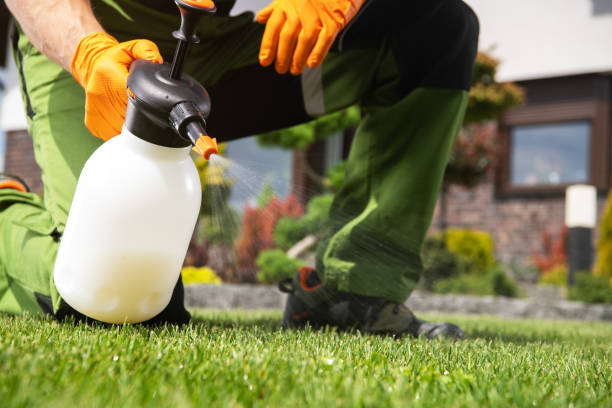 Best Affordable Pest Control Services  in Little Cypress, TX