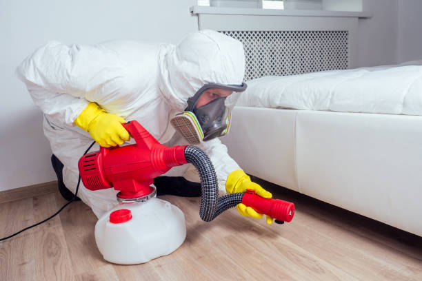 Best Insect Control  in Little Cypress, TX