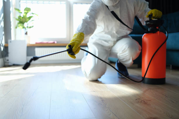 Pest Control Cost in Little Cypress, TX