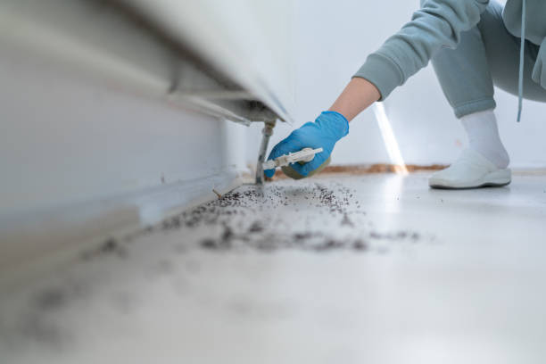 Best Wildlife Control Services  in Little Cypress, TX