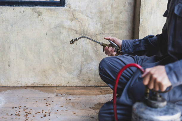Best Pest Control for Homes  in Little Cypress, TX