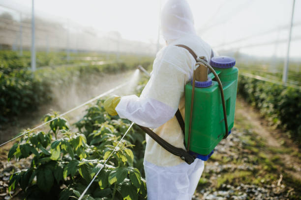 Best Local Pest Control Services  in Little Cypress, TX